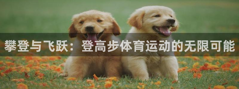 三亿体育网页版