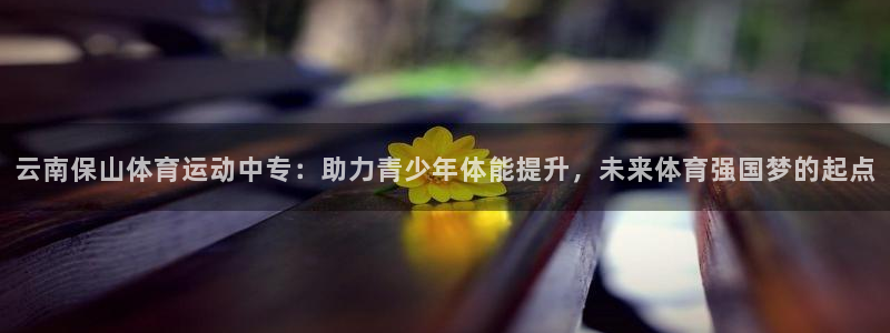三亿体育网