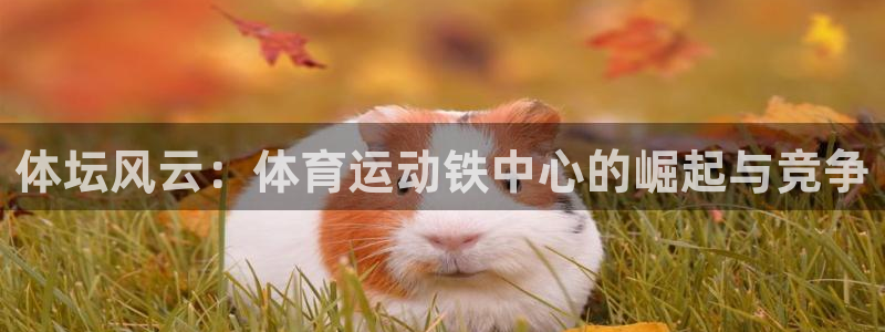 三亿体育网页版