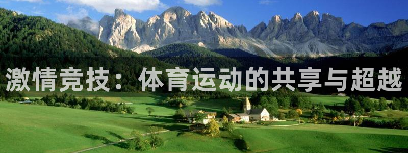 三亿体育网