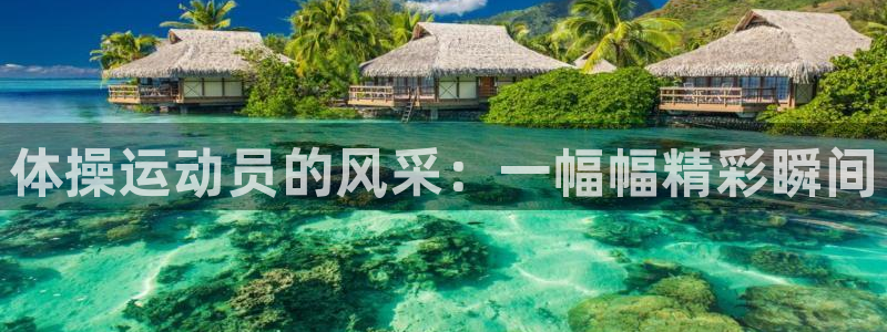 三亿体育网页版