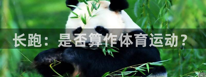 三亿体育