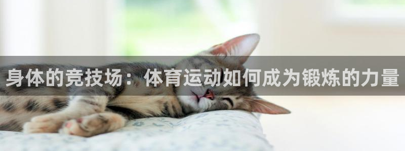 三亿体育网页版
