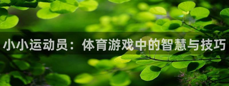 三亿体育登录