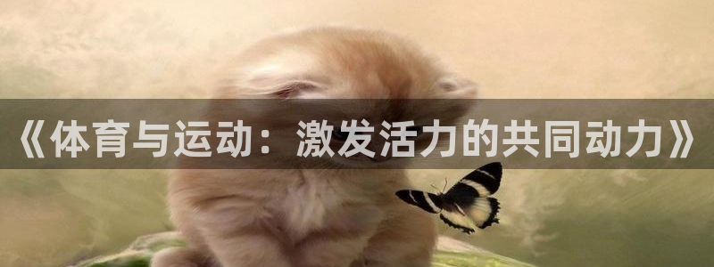 三亿体育网