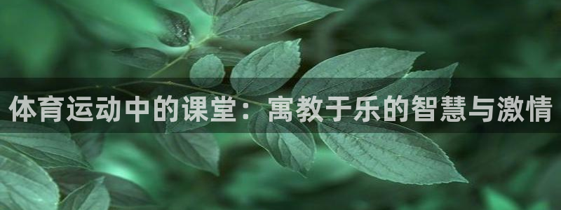 三亿体育登录